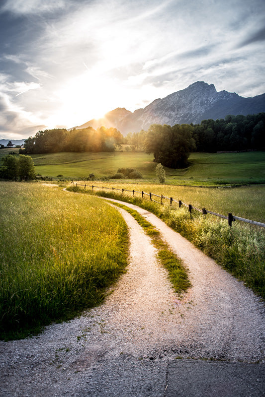 Natur Bild