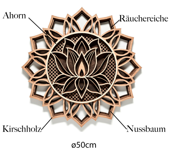 Lotusblume Wandbild Holzarten erklärt, Räuchereiche, Nussbaum, Kirschholz, Ahorn